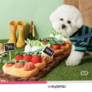 이상백농장 이미지