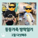 명전미용실 - 오산시 오산로 269 | 명전미용실