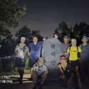 홍주