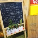 제이파레토
