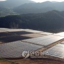 에버태양광발전소 이미지