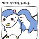 최대 100% 펭랑! 냥슐 메가 펭랑다운 이미지