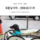내촌애견 이미지