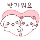 나무요양보호사교육원