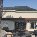 일구구육(1996) | 대구근교 청도 뷰가 예쁜 카페1996 테라스 까지