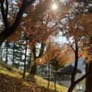 입큰푸드 이미지