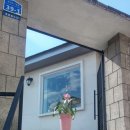 올라마리오 이미지