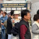 신성자원 | 다이빙 봉사활동, 오션캠퍼스, 바다생태계 복원 후기 - 3편(Day 7, 8, 9, 10) 대학생, 휴학생 대외활동...