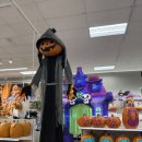 하와이마트 이미지