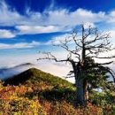 에이스성인게임랜드 이미지