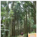 남도의 향기 이미지