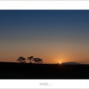 안성목장 이미지