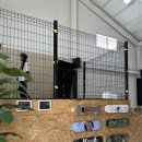 스케이트보드 기초 | 스케이트보드 학원 성인 레슨 가능한 오버헤드