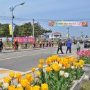 2015년 4월 18일 (전남 신안군 임자도, 대광해수욕장 트레킹과 튤립축제) 산행안내. 이미지