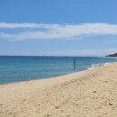 구산솔밭 이미지