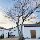 오르마레 이미지