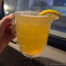 일광 | 🎀 대전 술집 일광 내돈내산 방문후기 🍹✨