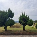 대명산소 이미지