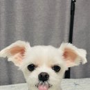 신월동192 이미지