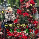 송도국제대로343번길 | [일상일기]송도현대아울렛 크리스마스 트리&amp;모던하우스 친구들과 구경 다녀온 후기:D