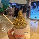 솜소밍 | Foto dump(5)