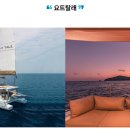 블레저 이미지