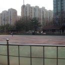 수내 인라인스케이트장 이미지