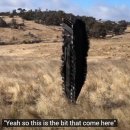 박상현농장 이미지