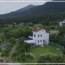 강아지 보호센터 이미지