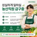 현대마트