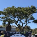 퐁낭 | 제주도민 맛집 교래퐁낭 본관 후기 | 몸국, 멜조림, 흑돼지수육 쌈정식 추천