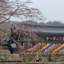 아라메길 (천년미소길) 이미지