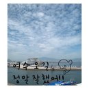 (유)동부렌트카 여수 | 7월 일상 초여름 여수 여행