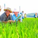 정동농장 이미지