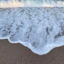 남호해수욕장 이미지