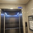 강남-017 | [방탈출#017] 키이스케이프 강남더오름 - 네드 | 알베리치 찾기 대작전