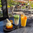 체리김밥 | 11월 제주도 가을여행 3일차 코스: 다가미김밥 / 오설록 / 수월봉 / 애월