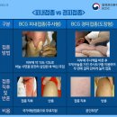 꿈담소아청소년과 이미지