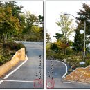 행복한 소풍 야영장 이미지