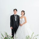 스튜디오 수집