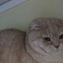 루시호텔 이미지