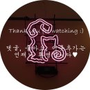 우경유치원 | [카페후기] 정자 펫카페 '마오네'에서 강아지들과 놀기