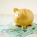 적금해리스 이미지