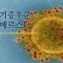 중동 1261 이미지