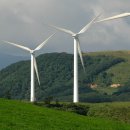 번개목장 이미지