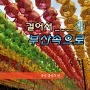 NR-31[새마을로]-하-62 | [걸어서 부산속으로]부산 금정구편(feat. 범어사)