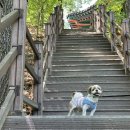 도원근린공원 이미지