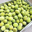 야생그대로 | 개복숭아 생과 추천 광양 자연산 토종 야생 돌복숭아 3kg 후기