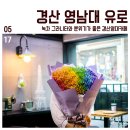 유로(YoLo) 이미지