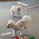 마인드몽 유치원 이미지